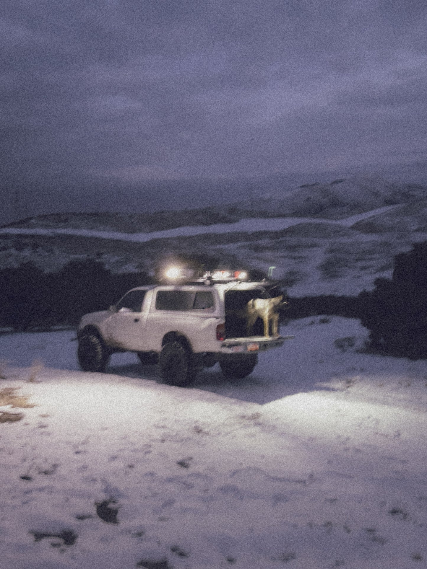 Grungy Polaroid Lightroom preset